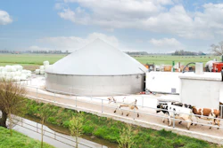 A digestor on a family farm in Spierdijk, Netherlands.