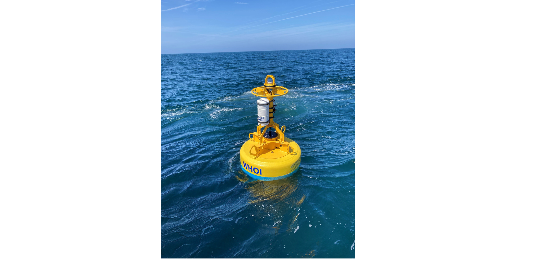 Robotic Buoys Developed to Keep Atlantic Right Whales Safe - Vimarsana News