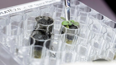 For the first time, scientists have used lunar soil collected by long-ago moonwalkers to grow plants, with results promising enough that NASA and others already are envisioning hothouses on the moon for the next generation of lunar explorers.