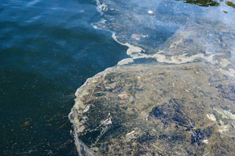 Oilspill