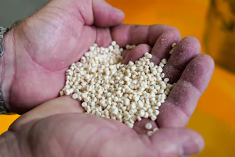 Danimer Scientific is one of the companies making a big bet on bioplastic with its expansion of a plant.