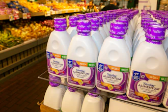A 10-page report from the agency offers the first formal account of the factors that led to the ongoing infant formula shortage.