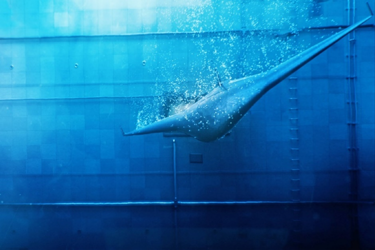 Northrop Grumman Offers Glimpse of Unmanned Undersea Vehicle - Vimarsana News