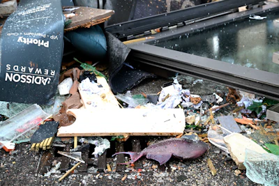 A fish lays in the debris in front of a hotel where an huge aquarium has burst in Berlin, Germany, Friday, Dec. 16, 2022.