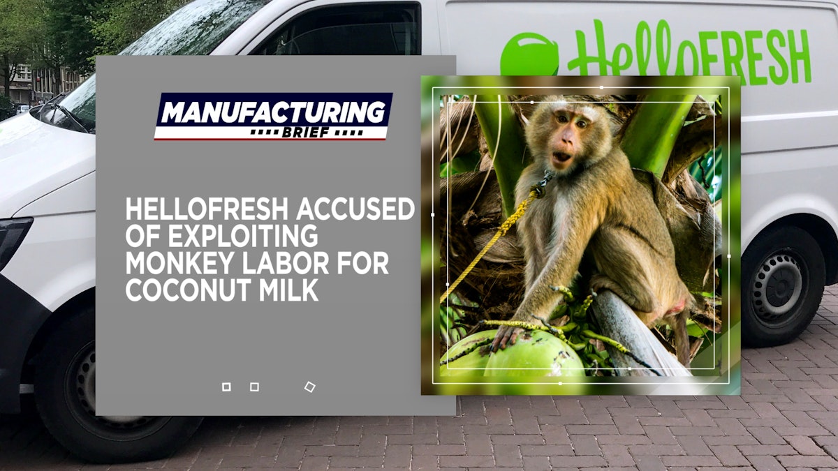 HelloFresh Accused of Exploiting Monkey Labor for Coconut Milk
