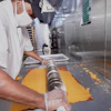 Whole And Free Foods Production