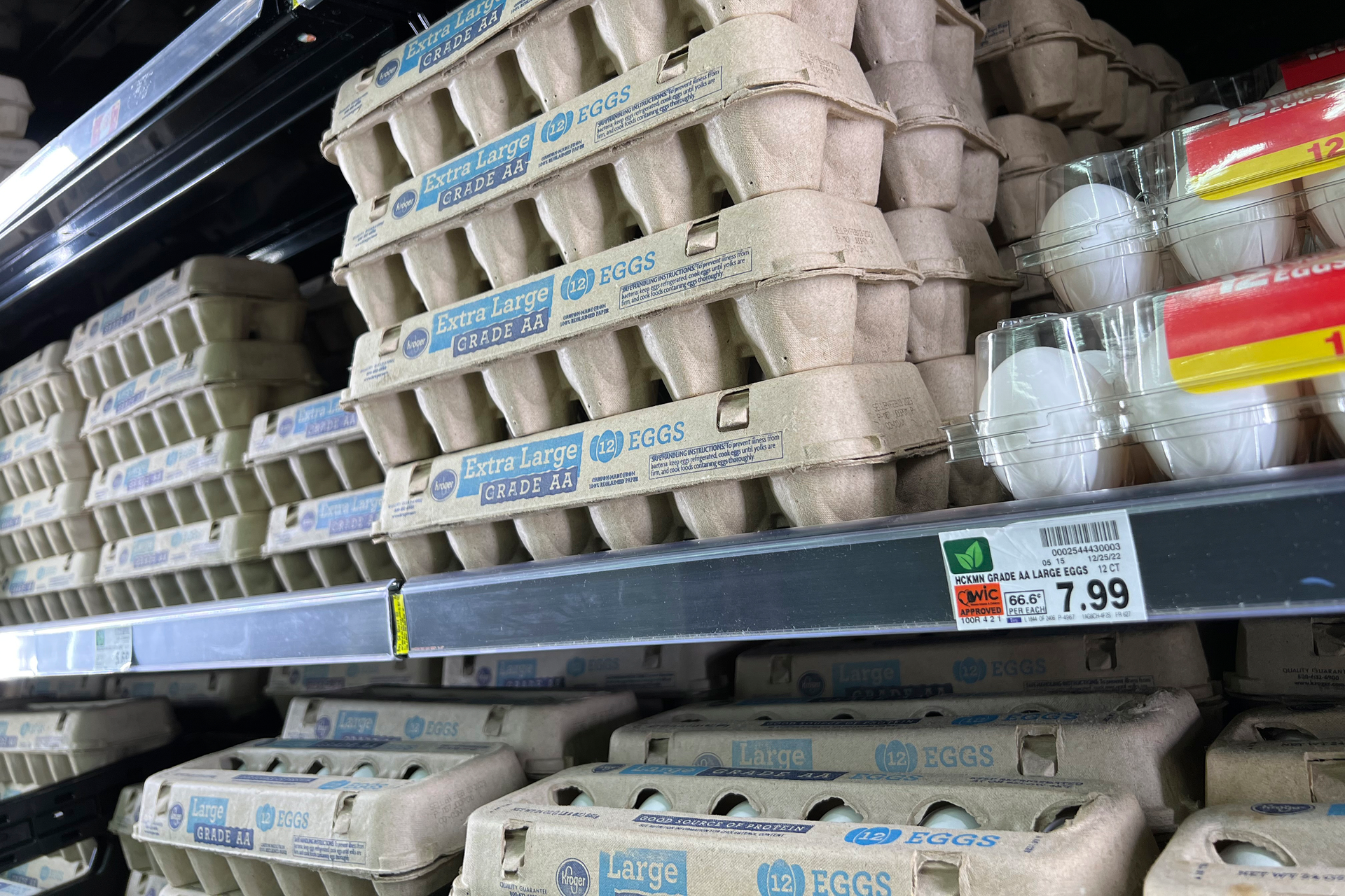 Egg Shortage Breeds Chicken-Feed Conspiracies - Vimarsana News