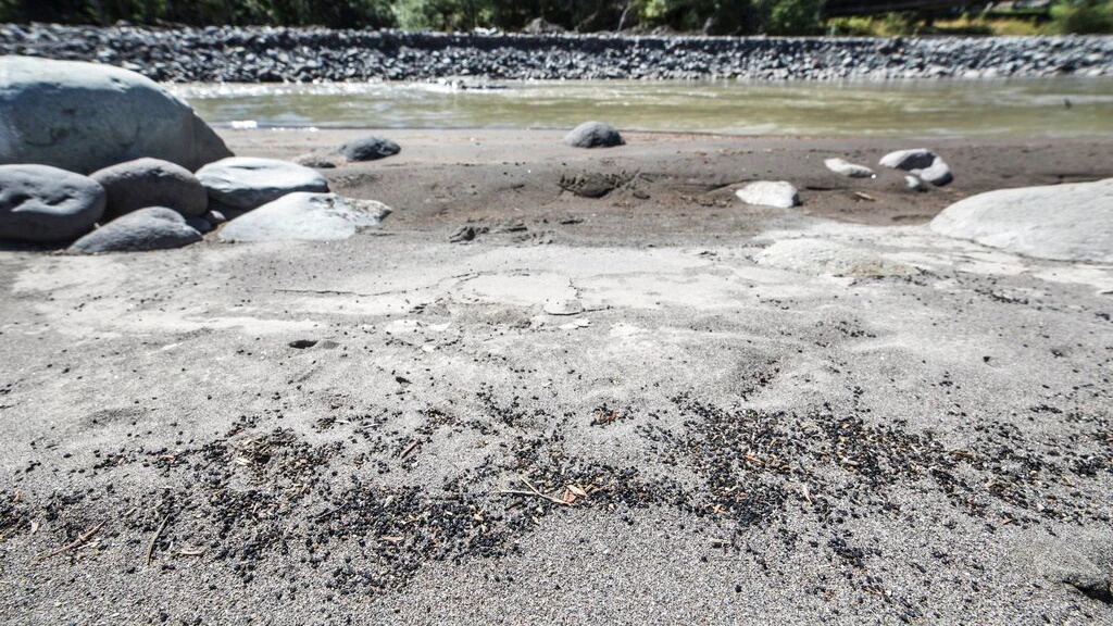 Dam owner guilty in Pollution Case - Vimarsana News