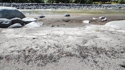 Pieces of rubber from Astroturf used in a retrofit of Electron Hydropower Project are found on the banks of the Puyallup River 14 miles down from the dam. Electron Hydropower Project on the Puyallup River coming from Mt. Rainier in the backround. It's killing fish and polluting Puget Sound with rubber and plastic debris from a recent retrofit in which old Astroturf was used as a liner for the project.