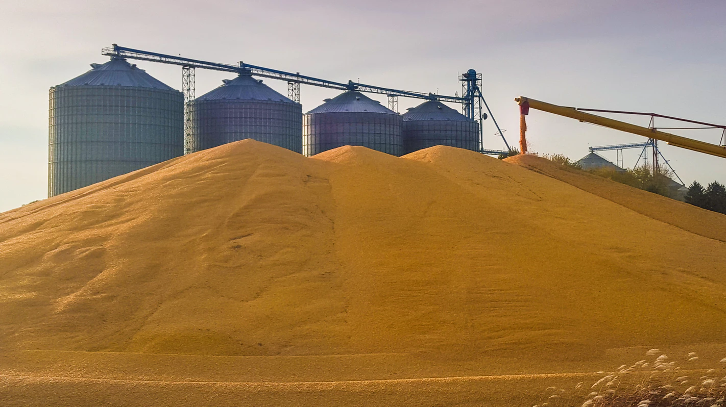 Grain-Handling Company Faces $531K Penalty After Worker's Death - Vimarsana News
