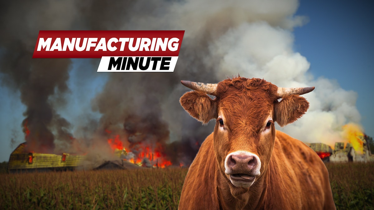 Dairy Farm Explosion Kills 18,000 Cows | Manufacturing.net