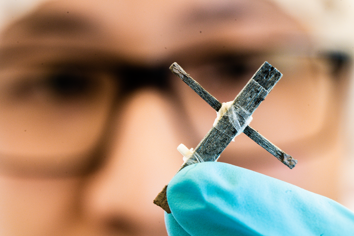 The World's First Wood Transistor | Manufacturing.net - Vimarsana News