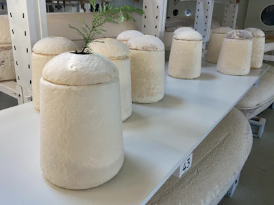 Dutch startup Loop Biotech makes cocoon-like coffins and urns designed to dissolve into the environment amid growing demand for more sustainable burial practices, in Delft, Netherlands, Monday, May 22, 2023.