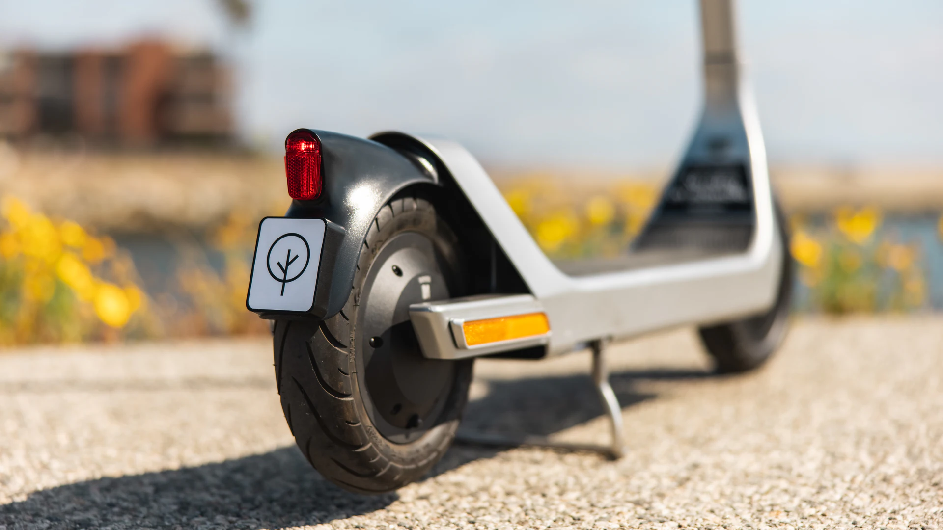 Bird e-Scooters to Return in Dallas - Vimarsana News