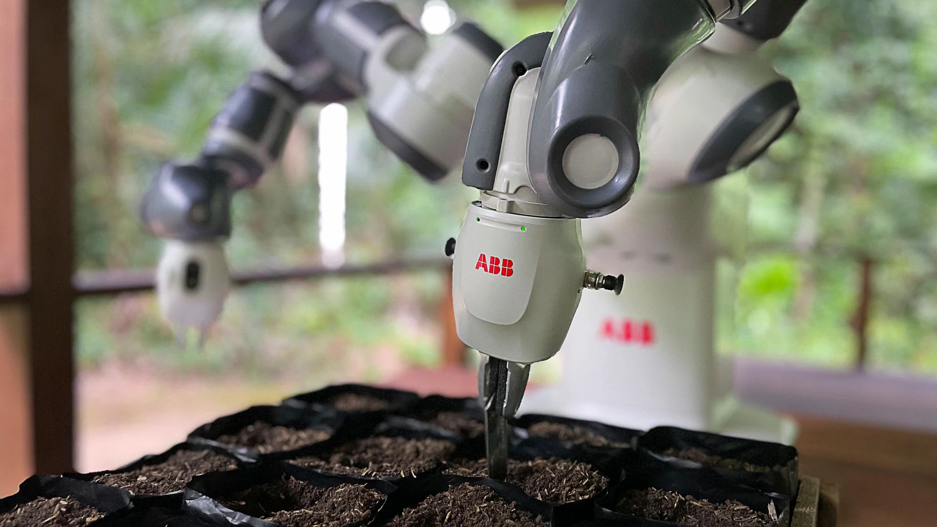 World's Most Remote Robot Automates Amazon Reforestation Project - Vimarsana News