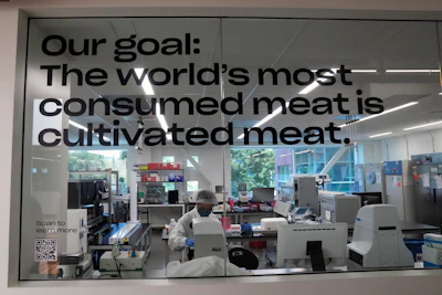 A scientist works in a cellular agriculture lab at Eat Just in Alameda, Calif., Wednesday, June 14, 2023.