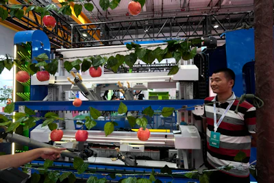A worker stands next to apples harvesting robot displayed at the annual World Robot Conference held at the Beijing Etrong International Exhibition and Convention Center, Wednesday, Aug. 16, 2023.