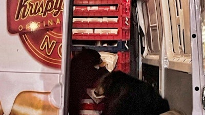 Two bears in a donut truck, Anchorage. Alaska, Sept. 12, 2023.