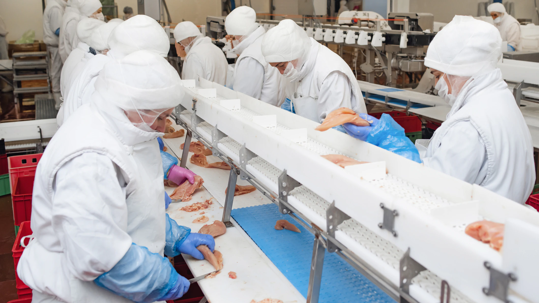 Minnesota Meat Processing Plant Accused of Hiring Minors Agrees to Pay $300K in Penalties - Vimarsana News