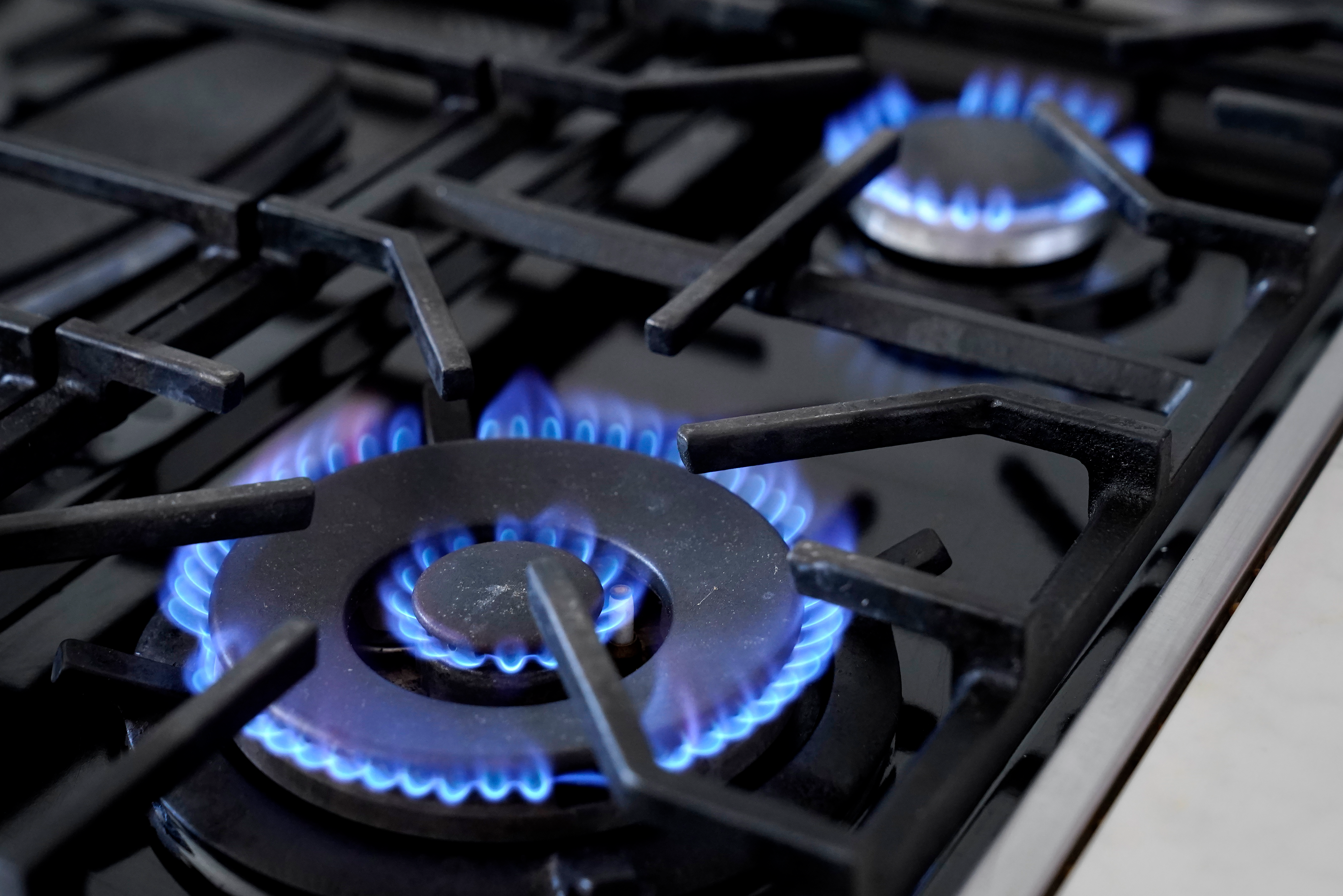 Lawsuit Seeks to Block New York's Ban on Gas Stoves - Vimarsana News