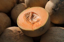 Cantaloupes displayed for sale in Virginia, July 28, 2017.
