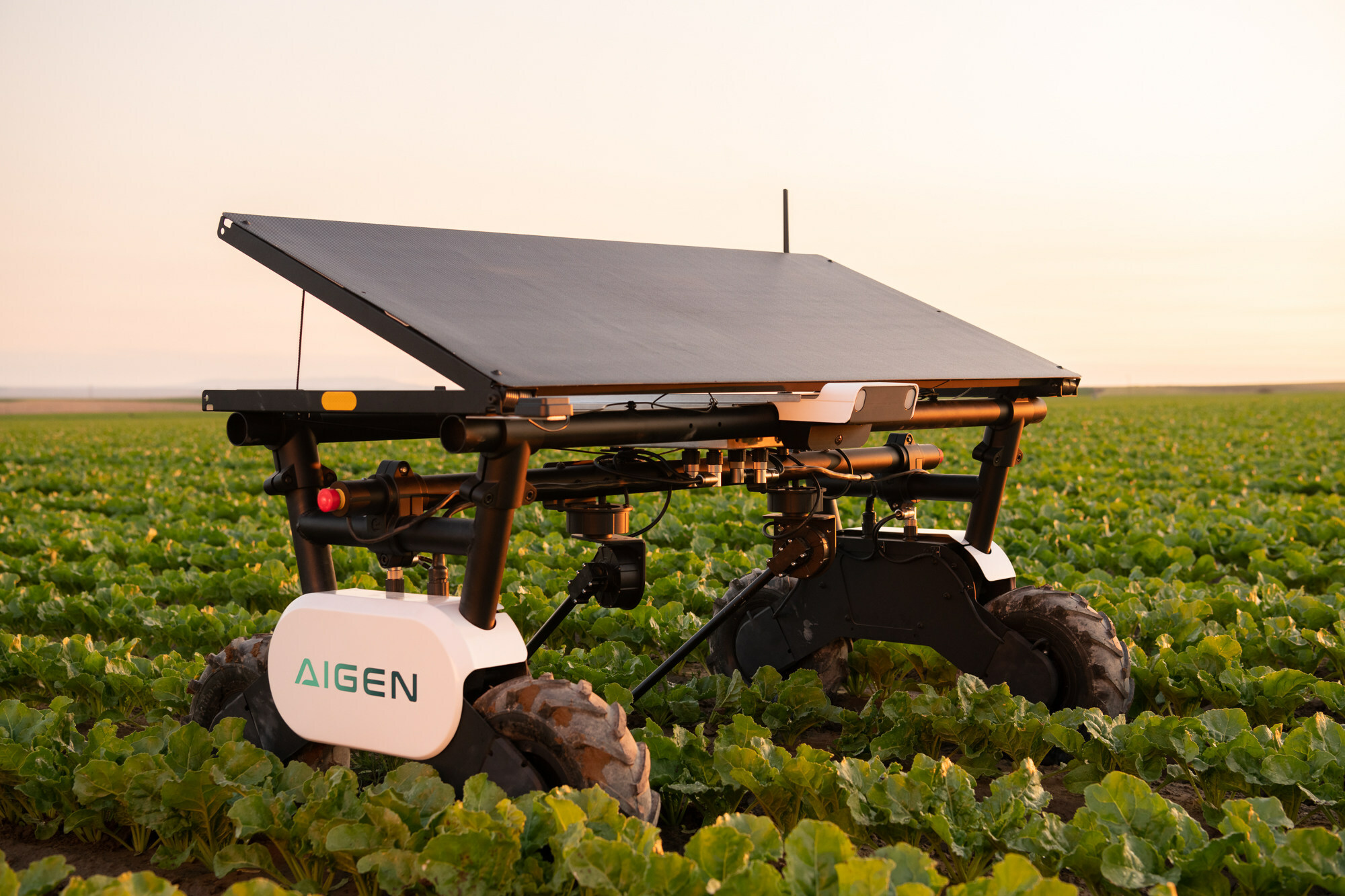 Aigen Raises $12M for Solar-Powered Agriculture Robots - Vimarsana News