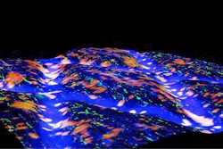 3D reconstruction of a TARP