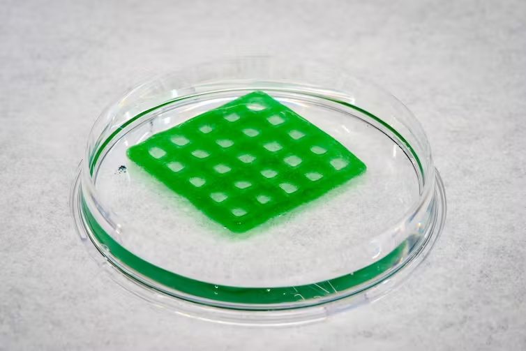 The grid shape of the material helps the bacteria take in carbon dioxide.
