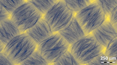 This colorized micrograph reveals thinner (yellow) and thicker (blue) regions of a 100% polyester fabric used in face masks. The NIST SBIR program supports research at small businesses such as developing a method to measure the effectiveness of face masks and respirators in real-world conditions.