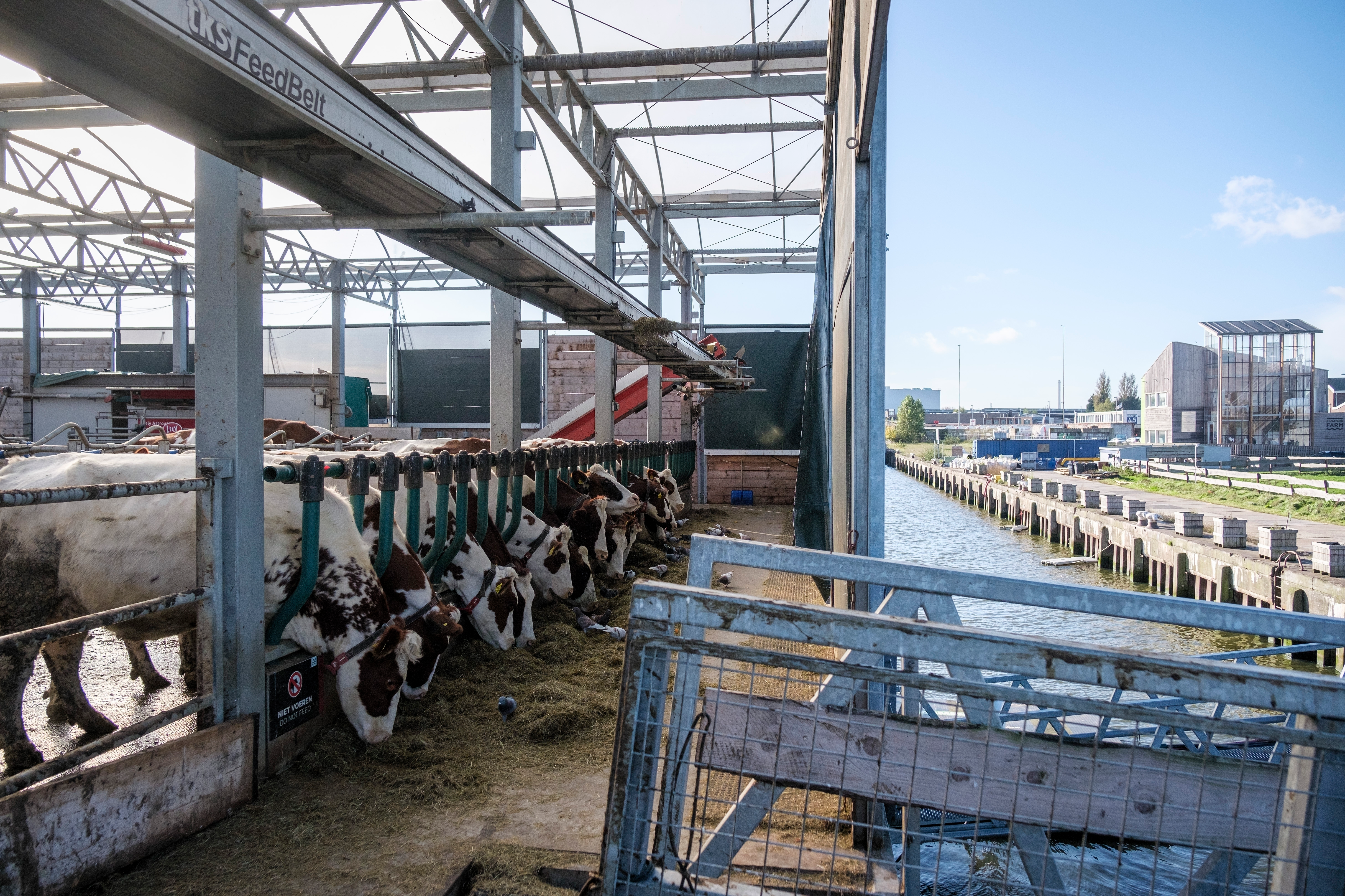 Floating Farms Could Help Tackle Food Security, Climate Change - Vimarsana News