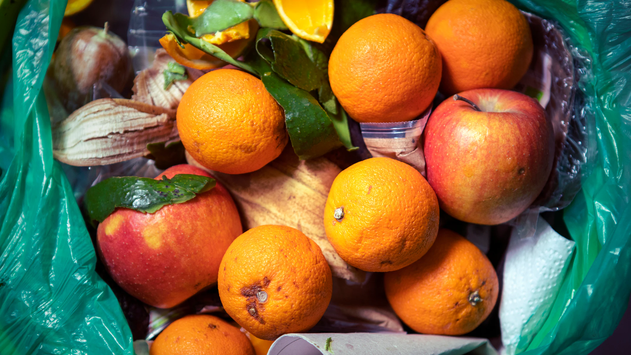 Federal Agencies Announce National Strategy to Reduce Food Waste - Vimarsana News