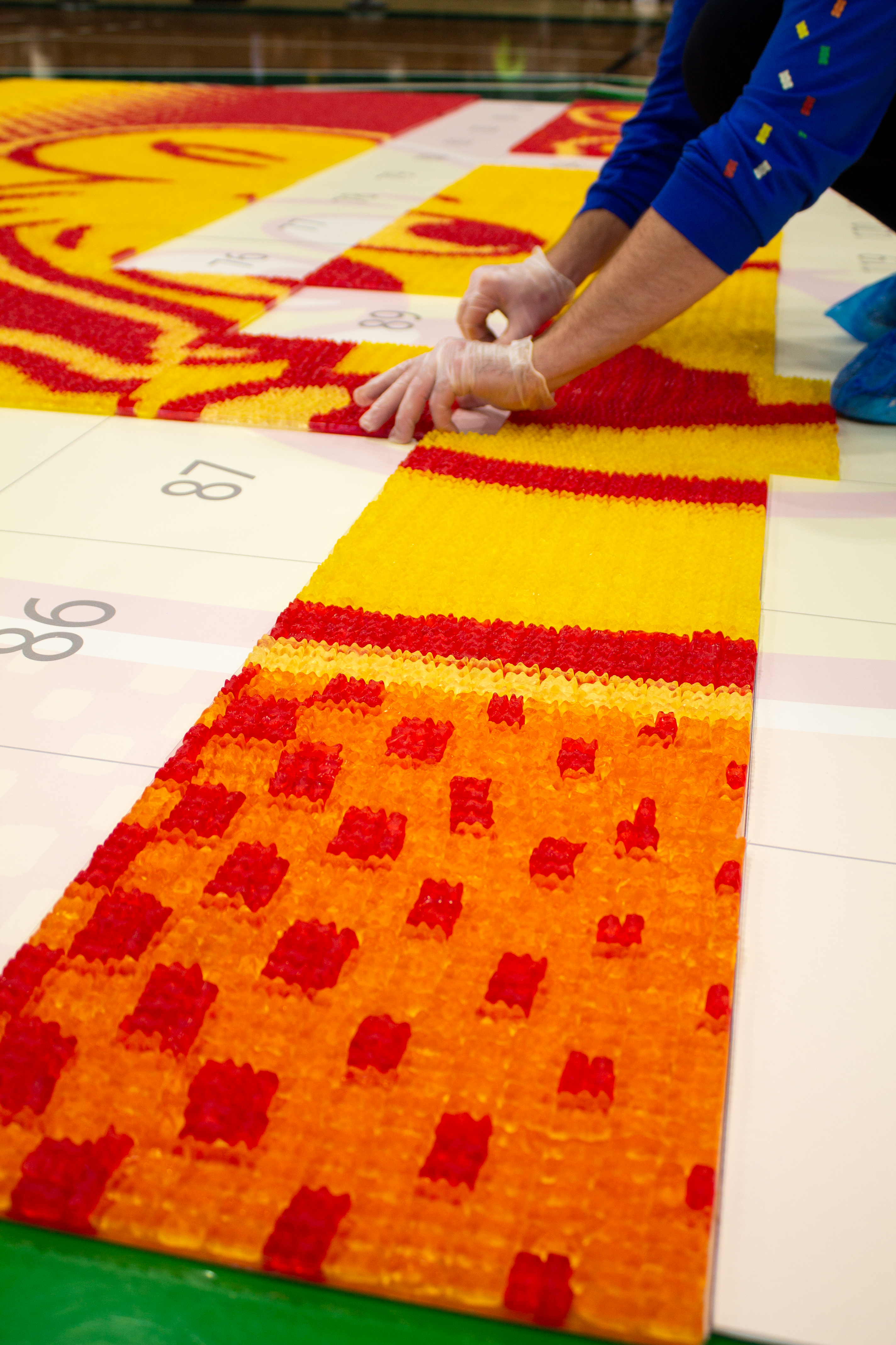 On January 10, 2024, Haribo claimed the title of The World's Largest Jelly/Gummy Candy Mosaic at the University of Wisconsin-Parkside in Kenosha, Wisconsin.