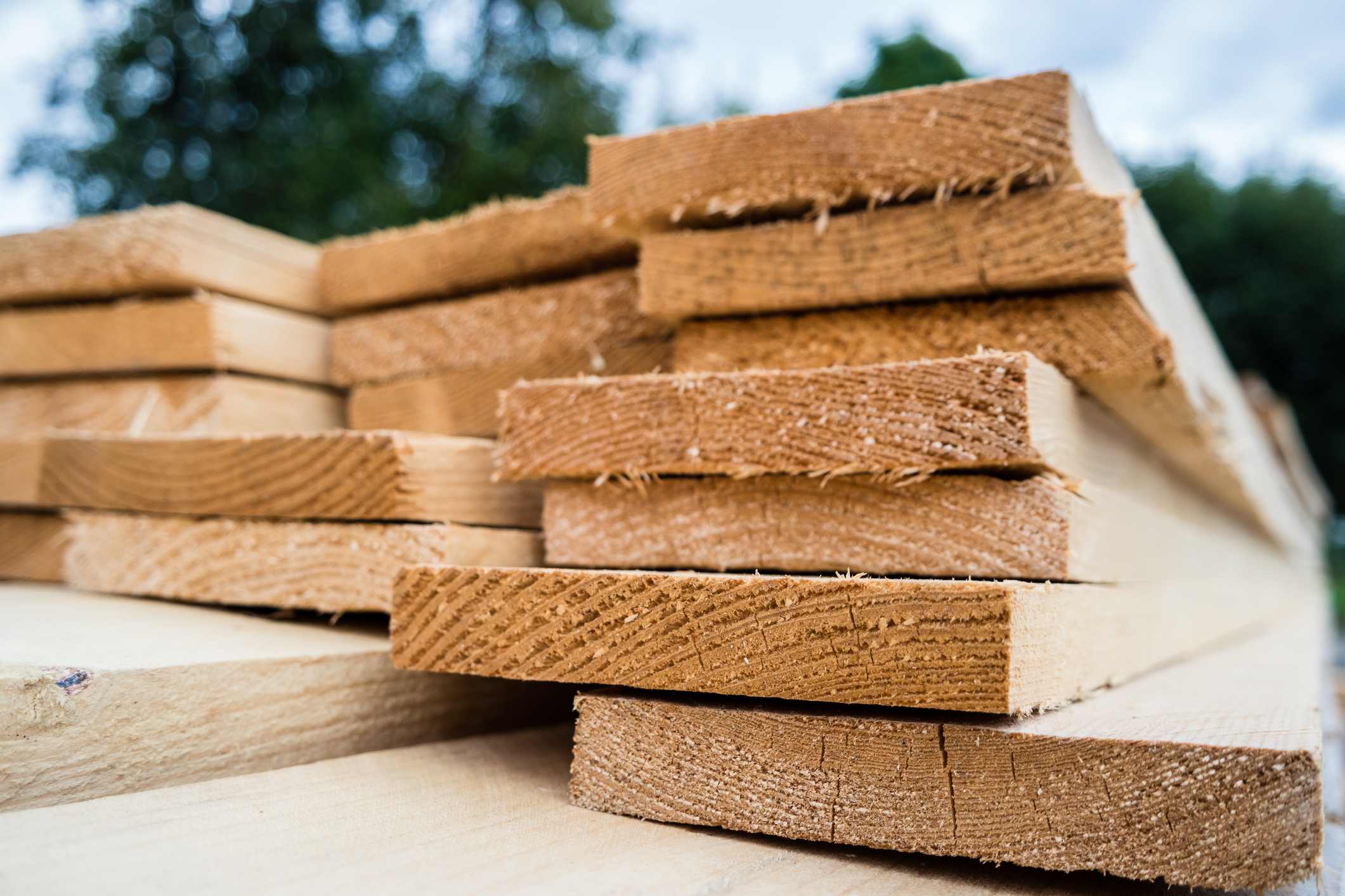 Wisconsin Sawmill Continues to Expose Employees to Amputation Hazards, OSHA Says - Vimarsana News