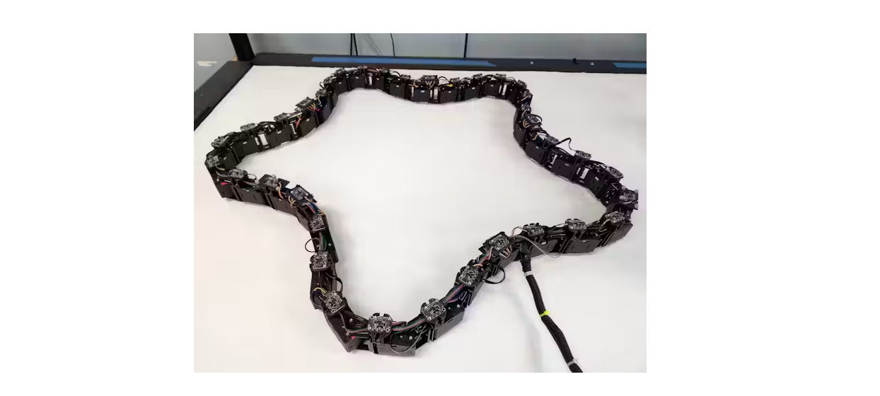 This robot mimics simple life forms.