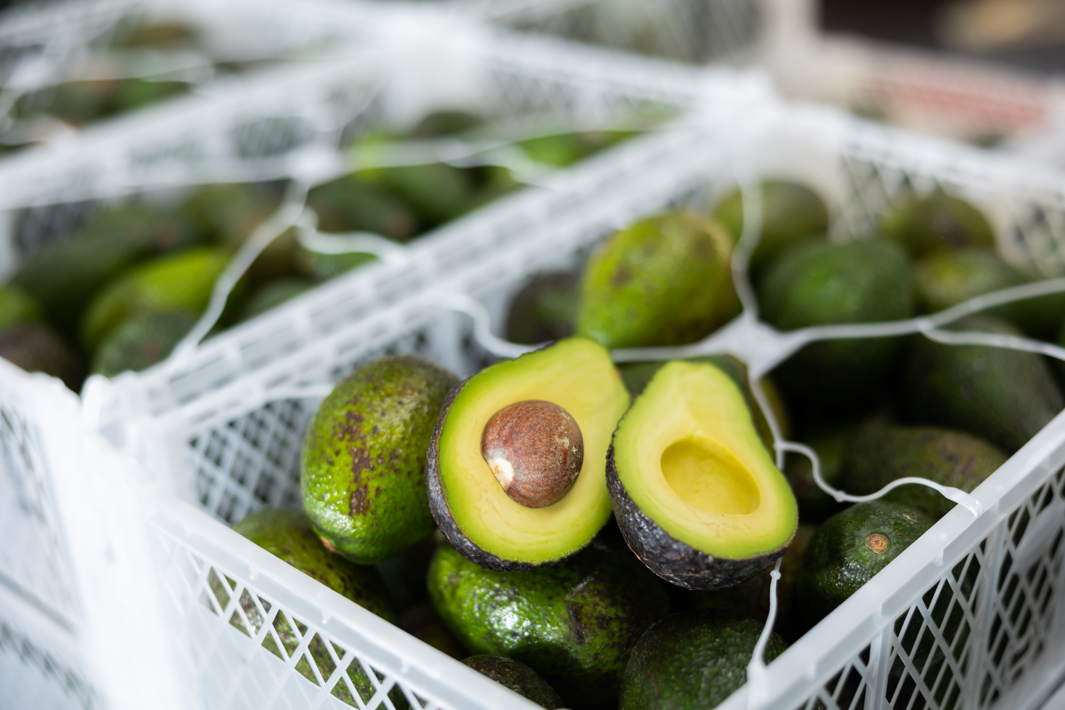 Labor, Trade Officials Seek Review of Union Organizing at Guacamole Plant - Vimarsana News
