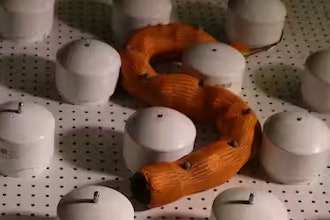 Limbless robots may not need lots of complex algorithms when they have mechanical intelligence.