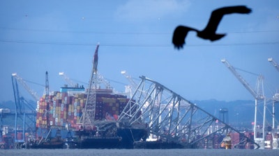 A bird flies past the collapsed Francis Scott Key Bridge resting on the container ship Dali on Sunday, May 12, 2024, in Baltimore, as seen from Riviera Beach, Md.