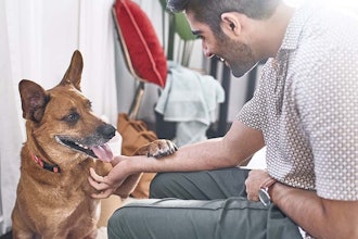 Nestlé Purina is investing about USD $220 million to expand the company's pet food plant in Silao, Guanajuato in Mexico.