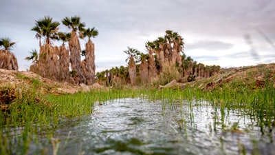 This photo provided by the environmental group Earthjustice shows Ha'Kamwe', a sacred spring near Wikieup, Ariz., March 5, 2022.