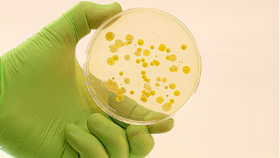 Biomanufacturing