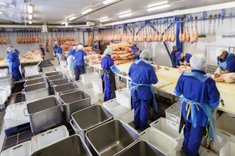 Meat cutting in a slaughterhouse.