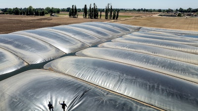 Robbie Macias, Aemetis vice president of biogas, with Wickstrom Jersey Farms manager Brent Wickstrom on a dairy digester in Hilmar, Calif., May 9, 2024.