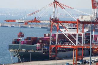 A container ship is loaded and unloaded at a container terminal at a port of Kawasaki near Tokyo on March 9, 2022.