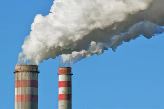 Coal