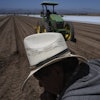 Farm workers plow the land for a strawberry field in Oxnard, Calif., on Wednesday, June 18, 2025.