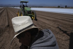 Farm workers plow the land for a strawberry field in Oxnard, Calif., on Wednesday, June 18, 2025.