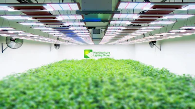 Horticulture Lighting Group