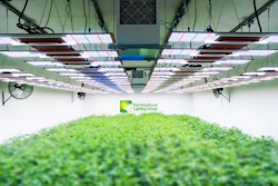 Horticulture Lighting Group