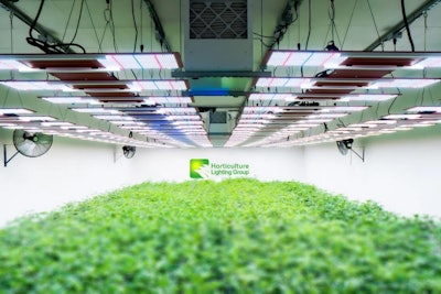 Horticulture Lighting Group