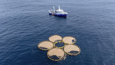 In this photo provided by Gigablue, circular structures called booms containing particles engineered by the company Gigablue, float near a research vessel in the Pacific Ocean off the coast of Dunedin, New Zealand, Saturday, Oct. 19, 2024, as part of a project to grow tiny organisms known as phytoplankton that absorb carbon dioxide from the ocean.